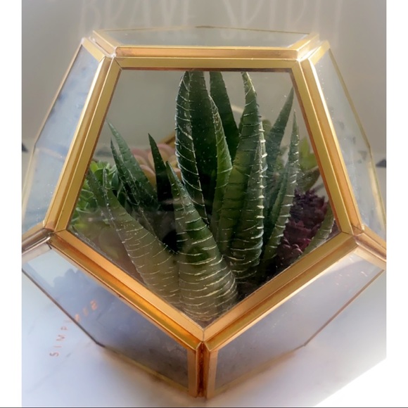 Gold Geometric Succulent Terrarium fake plant hobby lobby decor - Picture 6 of 6